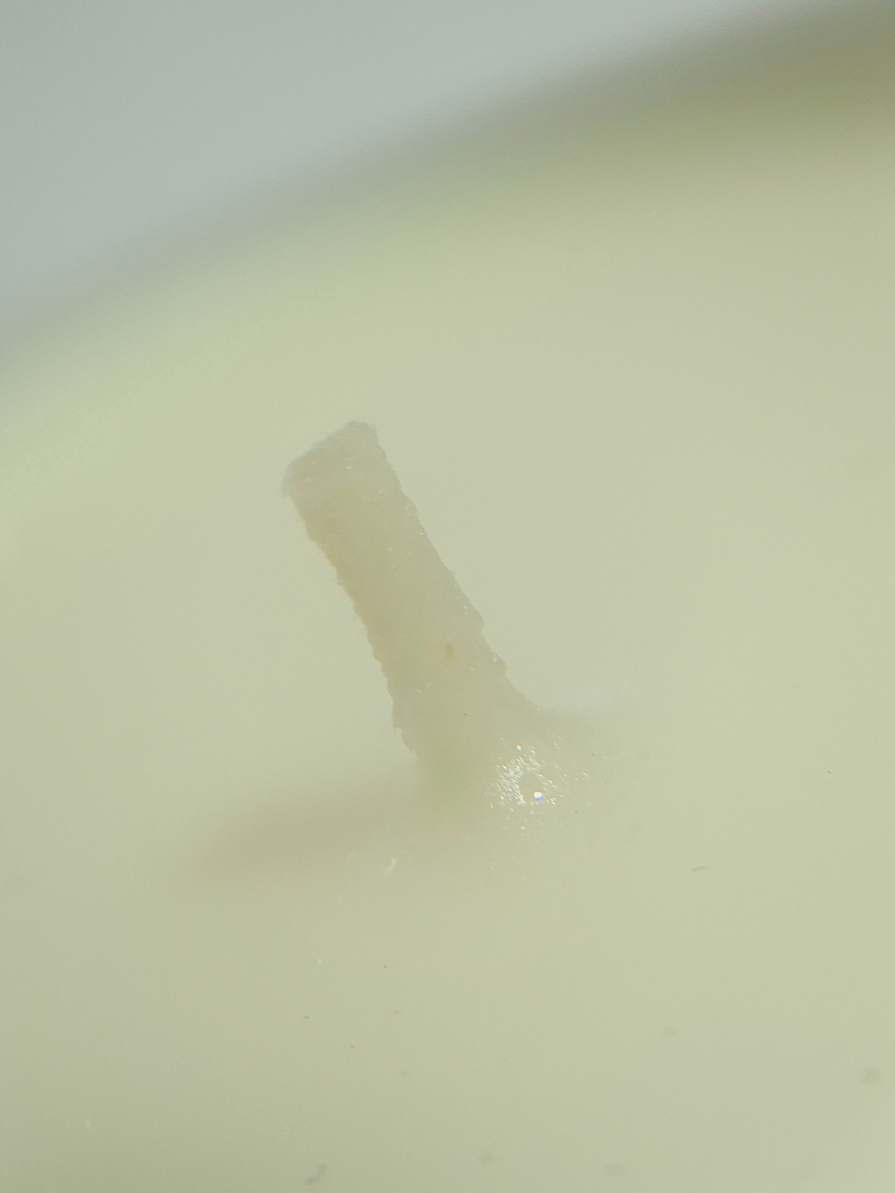 Close-up of a candle showing the wick and wax surface.