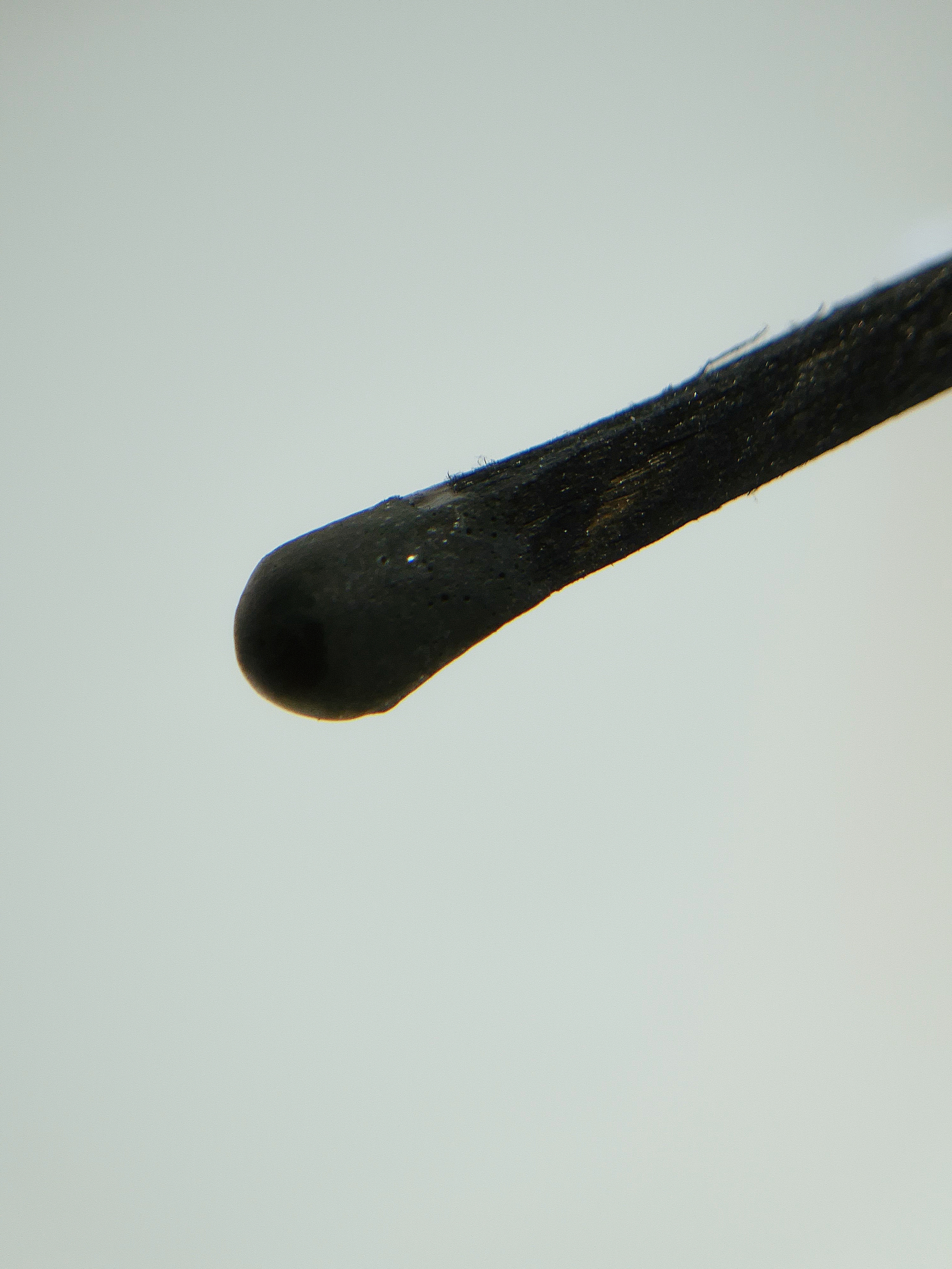 Close-up shot of a matchstick on a neutral background.